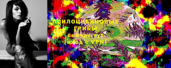 спайс Богородицк