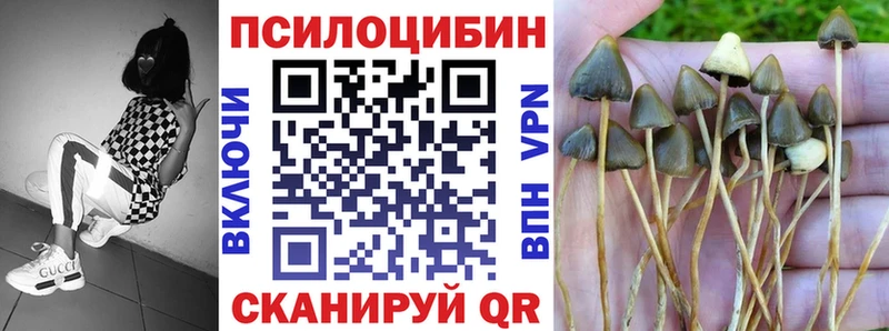 Псилоцибиновые грибы прущие грибы  купить   Топки 