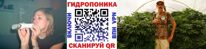 Канабис семена  Топки 